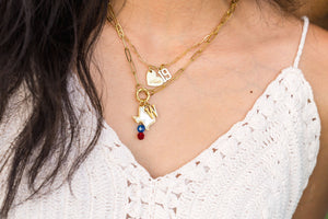 The Chaparral Collection