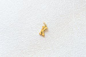 The Classic Letter Charm