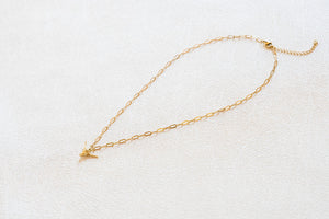 Victory horn on paperclip chain